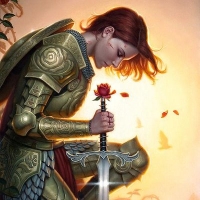 Una brillante armadura