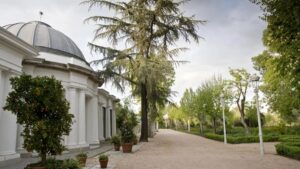 Exposición "Vistas. Paisajes urbanos" | Estufa grande de Vista Alegre (imagen: 20 minutos)