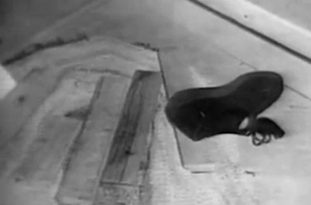 El caso de Evelyn Hartley: La niñera desaparecida