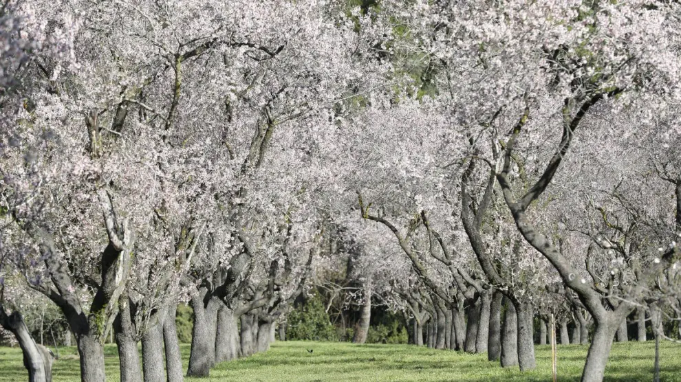 10 rincones secretos de Madrid que te sorprenderán