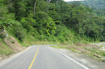 Terror en las carreteras mexicanas: testimonios que hielan la sangre