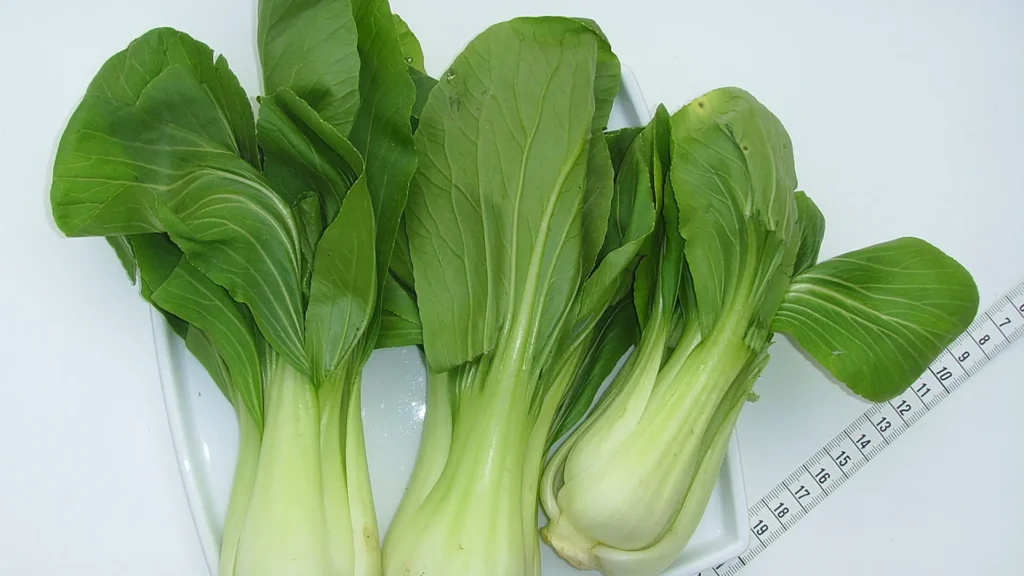 10 verduras exóticas que probablemente no conocías y deberías probar